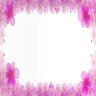 aesthetic flowers transparent background