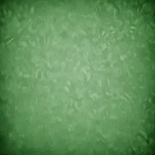 textured green background