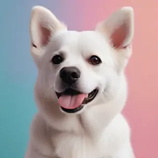 aesthetic dog wallpaper