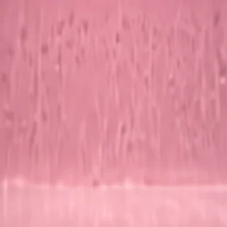pink plain bg