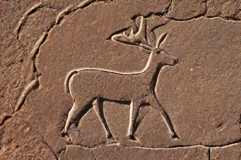 petroglyph