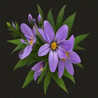 wild flower png