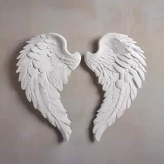 picture of angel wings