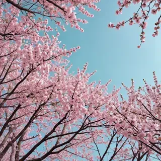 spring aesthetic wallpaper