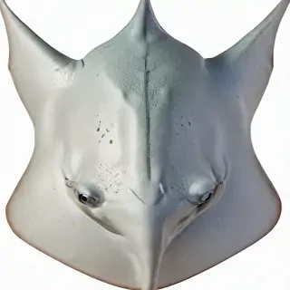 stingray png