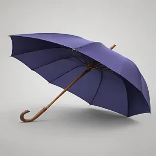png umbrella