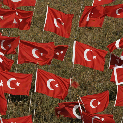 turkey flag