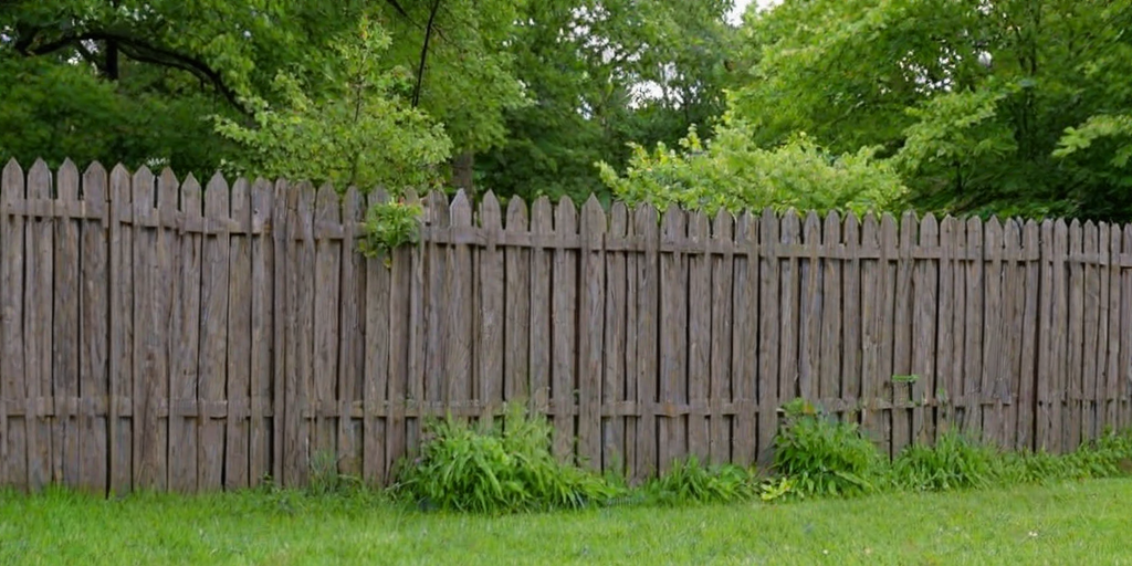 fence image