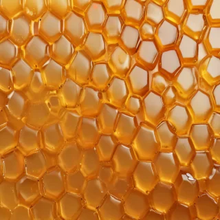 honey background