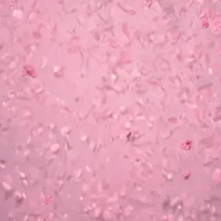 wallpaper aesthetic iphone