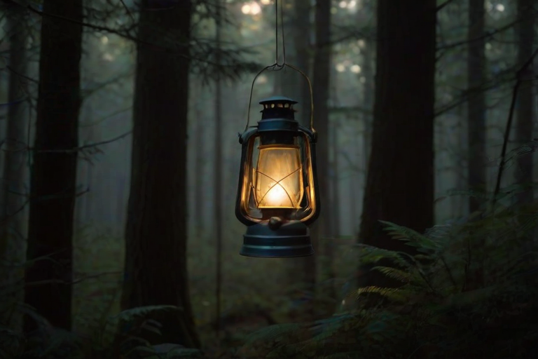 A glowing lantern in a dark forest, casting a soft golden light, with the words "Soft Glow" subtly illuminated within the mist      , aidmasoftglow