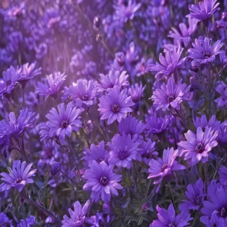 cute purple wallpaper