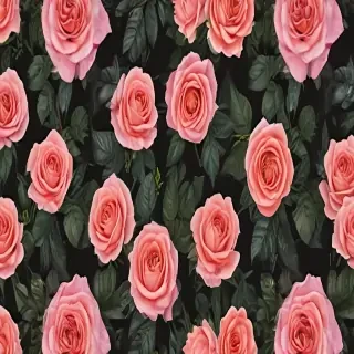roses backgrounds
