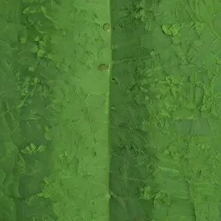 green textures
