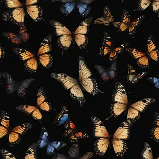 butterflies in black background