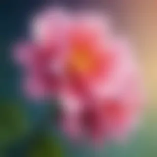 full screen flower wallpaper hd