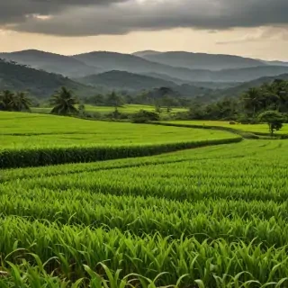 farmland png