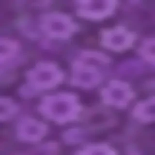 background flower purple