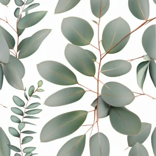eucalyptus png