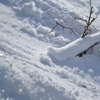 snow pngs