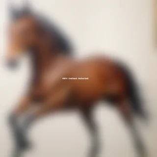 horse image for drawing