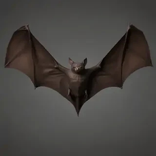 bat wings png