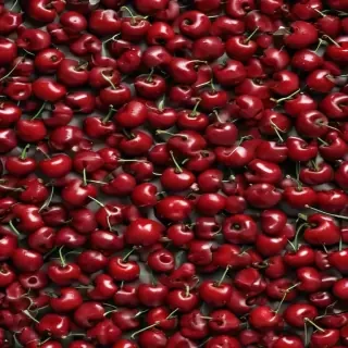 cherry background