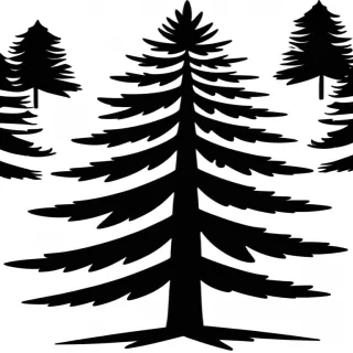 black and white pine tree clip art