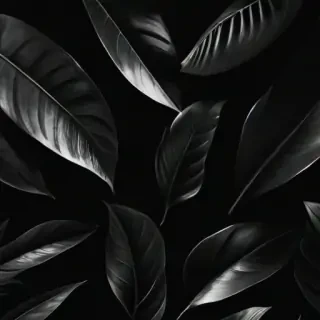 black aesthetic iphone wallpaper