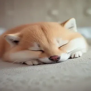 sleeping wallpaper