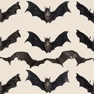bats png