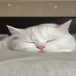 sleepy png