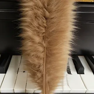 fur elise piano
