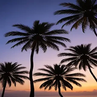 palm tree background