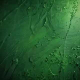 green iphone background