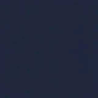 navy blue bg