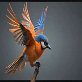 bird transparent background