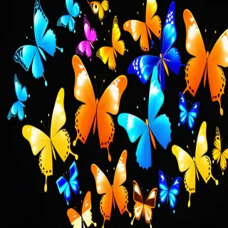 butterflies wallpaper
