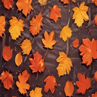 iphone cute fall wallpaper