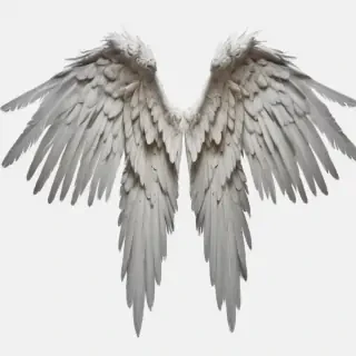 angel wings png