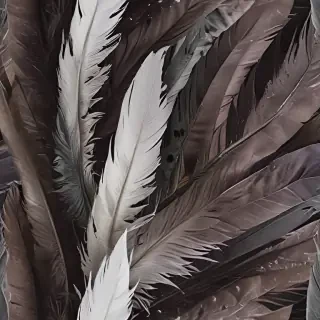 feather background