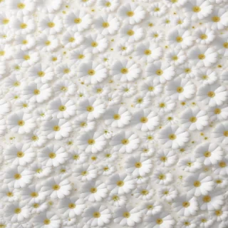flower background white