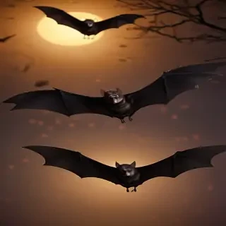 pictures of halloween bats