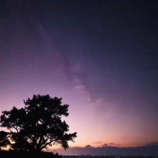 night wallpaper iphone