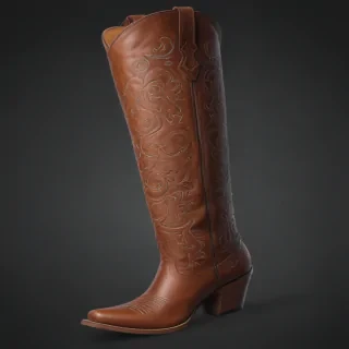 cowgirl boots png