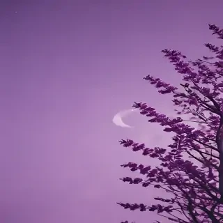 purple aesthetic wallpaper laptop