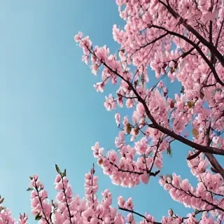spring desktop wallpaper aesthetic