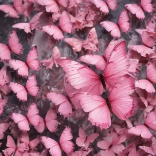 pink butterflies aesthetic