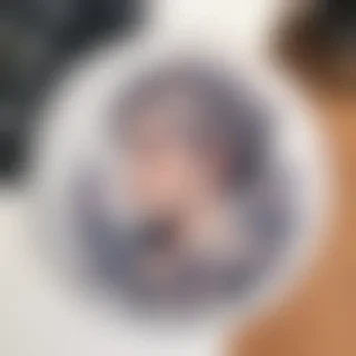 aesthetic transparent stickers