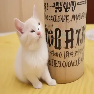 cutese pic